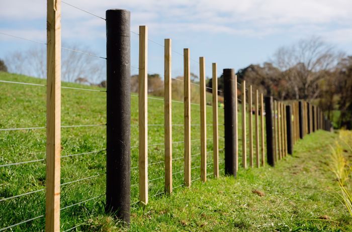 Recycled fence posts in a paddock